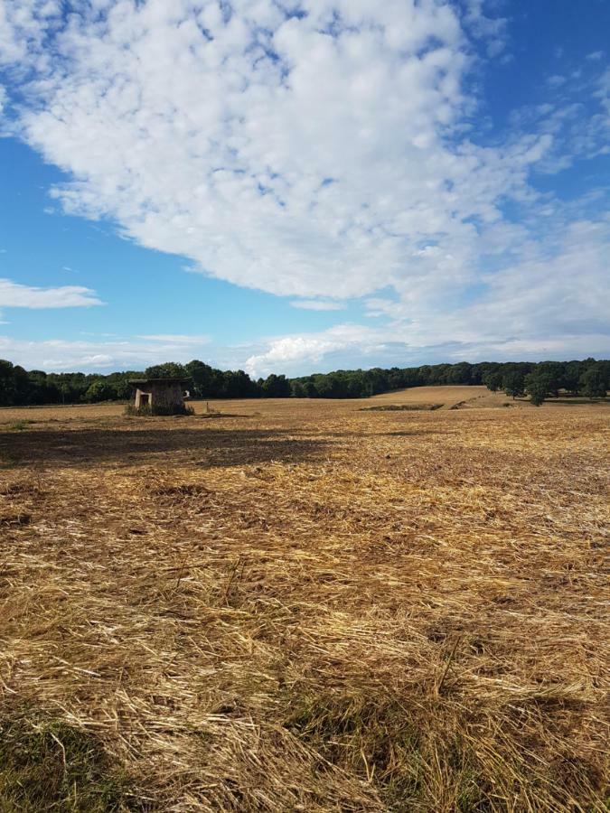 Le Manege Villa Varengeville-sur-Mer Exteriör bild